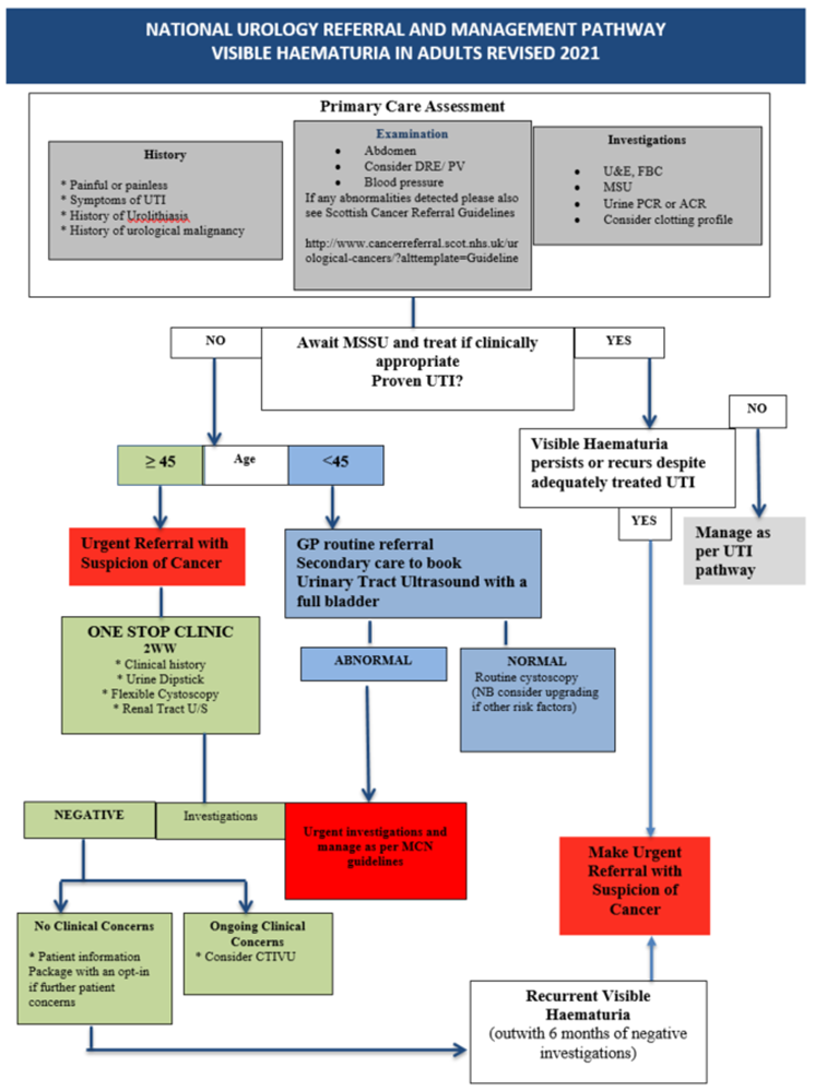 NATIONAL UROLOGY REFERRAL AND MANAGEMENT PATHWAY VISIBLE HAEMATURIA IN ADULTS REVISED 2021