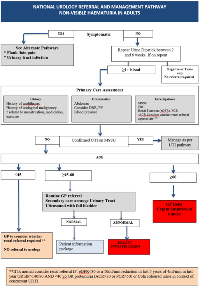 NATIONAL UROLOGY REFERRAL AND MANAGEMENT PATHWAY NON-VISIBLE HAEMATURIA IN ADULTS